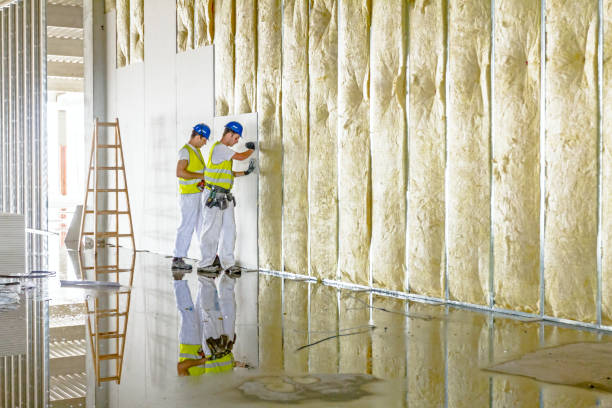 Best Soundproof Insulation  in Sundown, TX